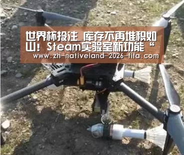 世界杯投注_库存不再堆积如山!Steam实验室新功能“接下来畅玩”上线(图3) 世界杯投注
